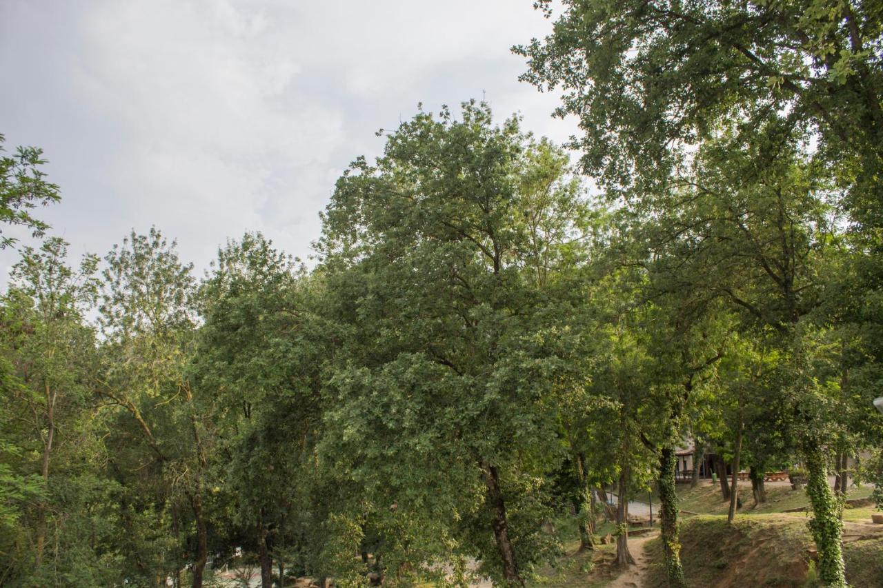 El Clar Del Bosc Hostel Pujarnol Bagian luar foto